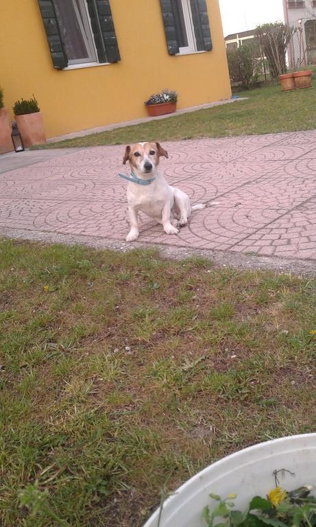 Medoacvs Stra